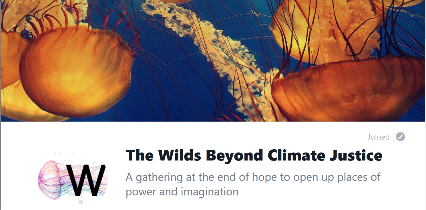 The Wilds Beyond Climate Justice